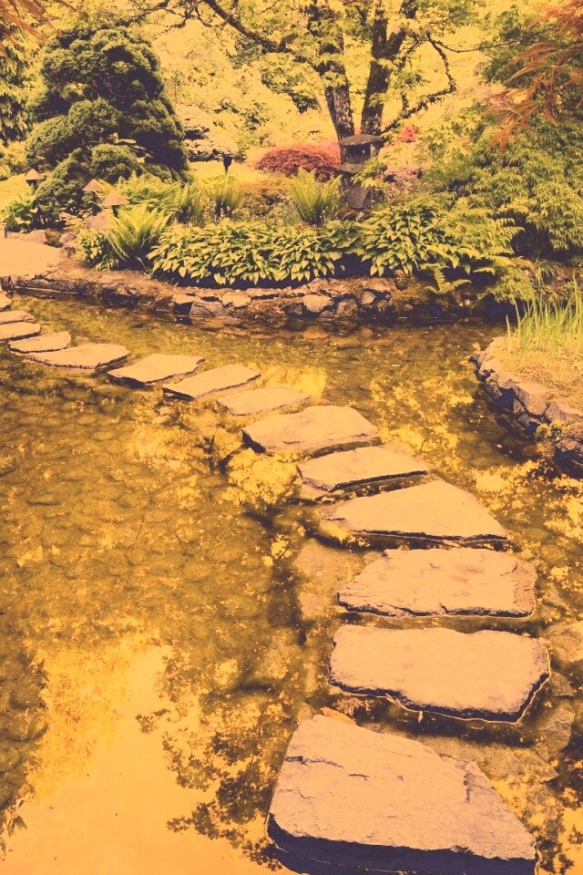 Дорожка через пруд обои