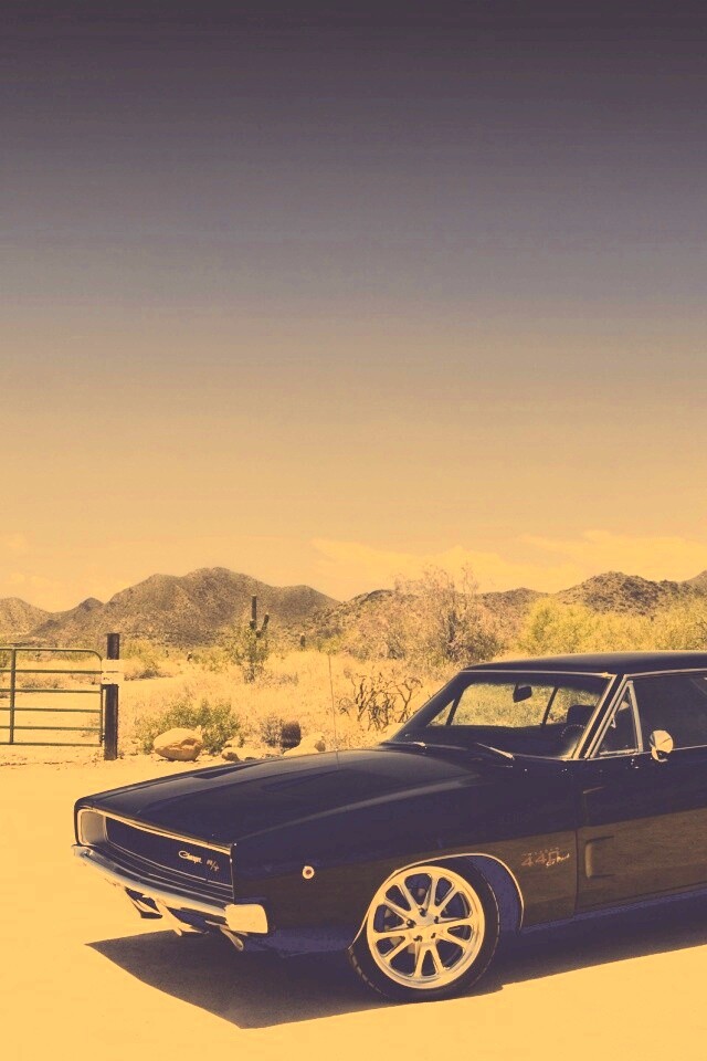 Мускулкар под палящим солнцем обои