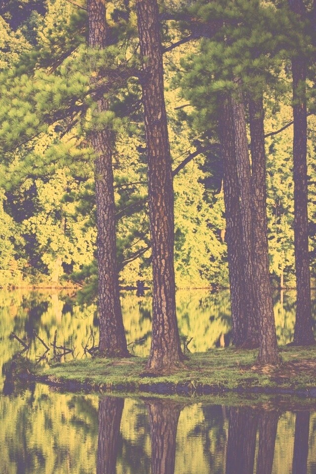 Островок посреди озера обои