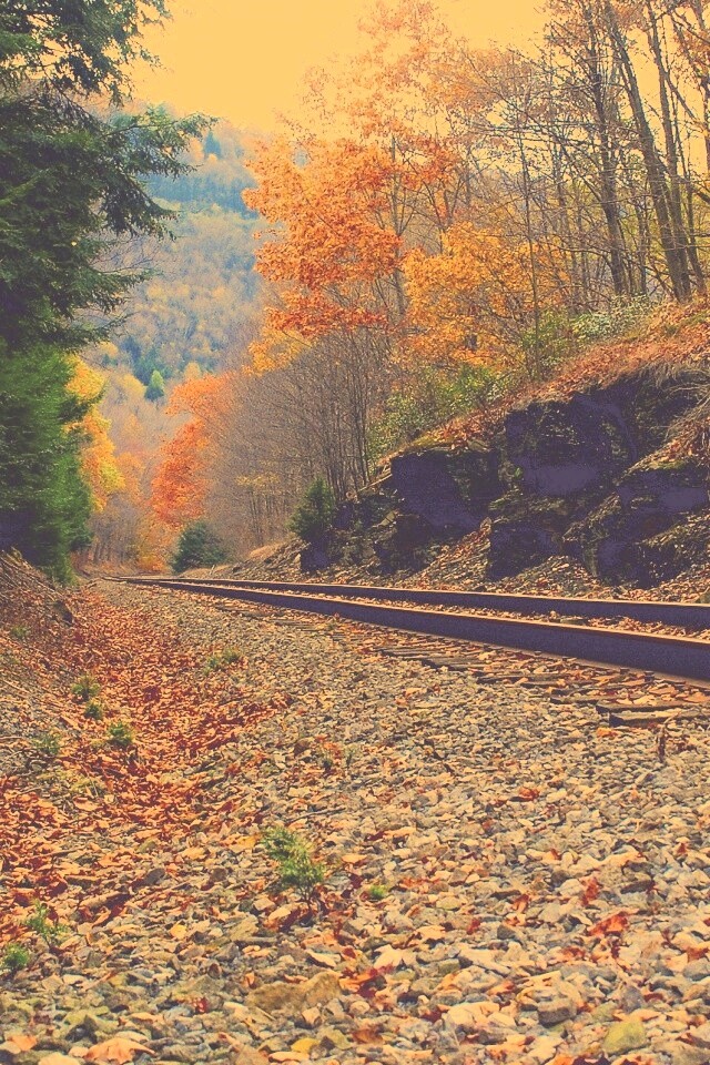 Железная дорога в скалистой местности обои