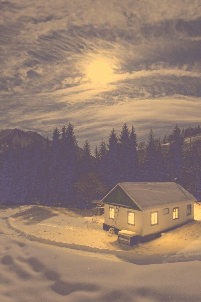 Один в зимнем лесу обои