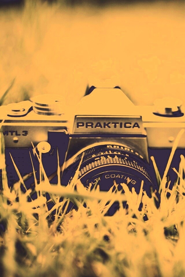 Фотоаппарат Praktica в траве обои