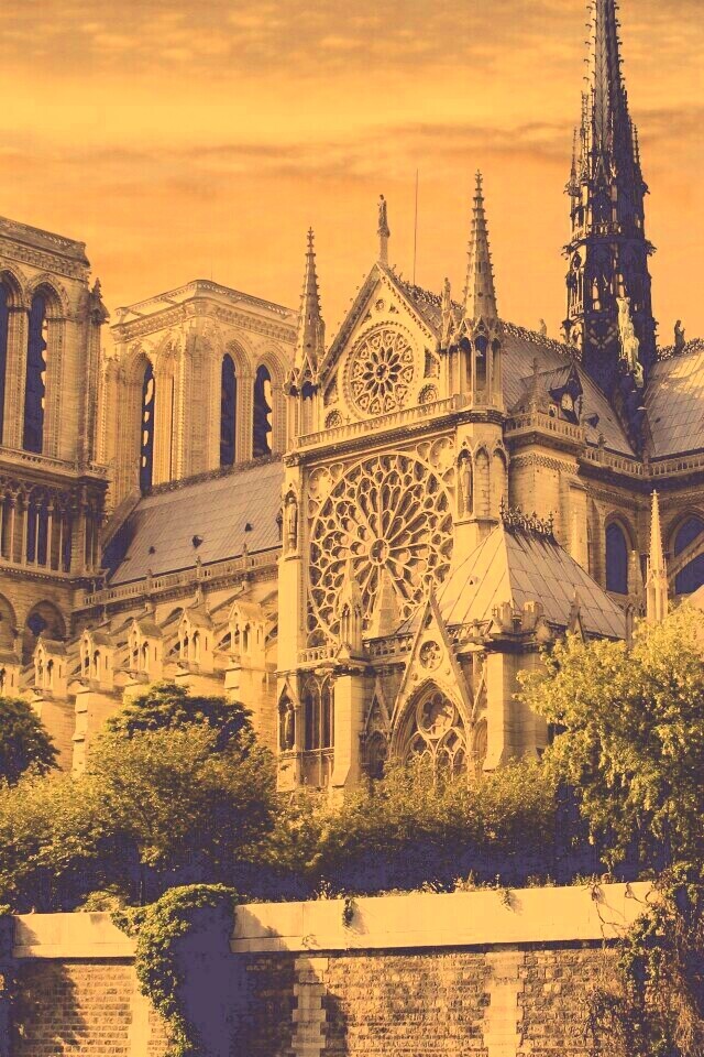 Собор парижской Богоматери обои
