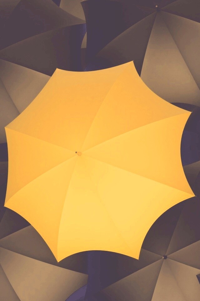 Жёлтый среди чёрных обои