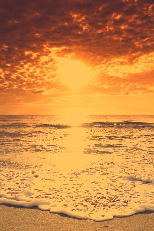 Берег моря в лучах заката обои