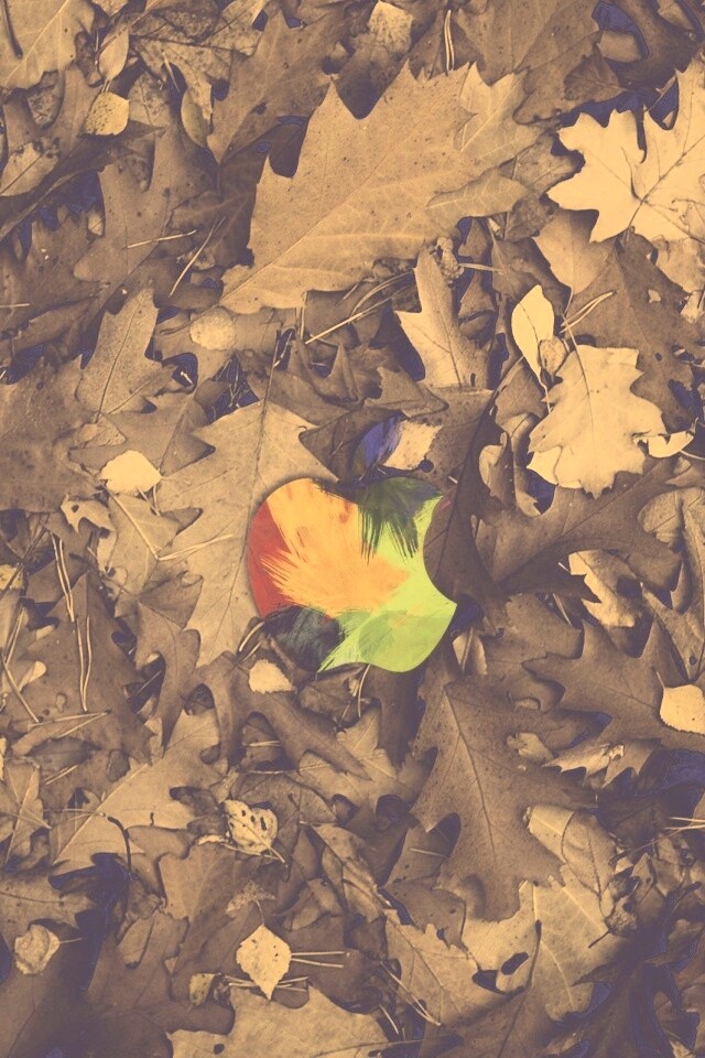 Яблоко в листьях обои