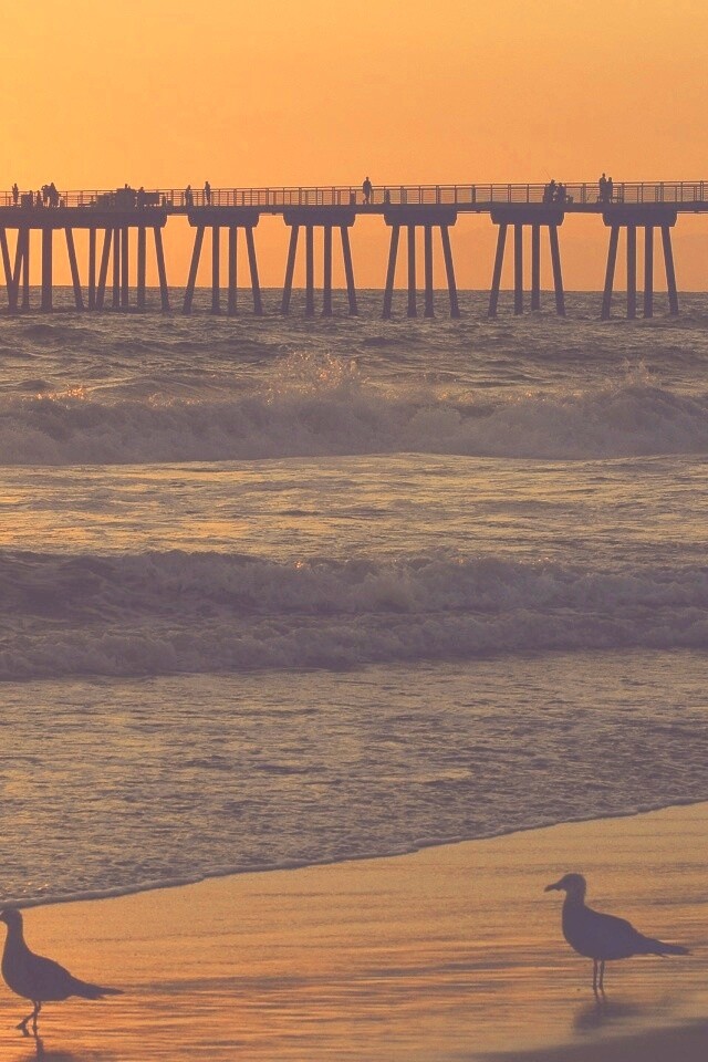 Морская терасса обои