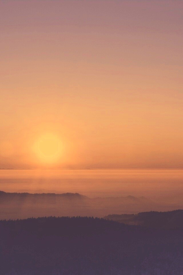 Восход солнца над лесом обои