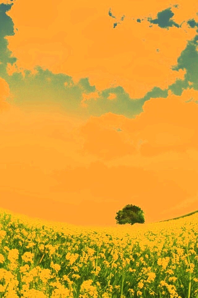 Искаженный мир обои