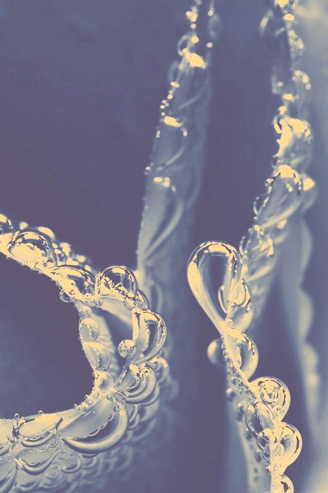 Капельки росы на синих лепестках обои