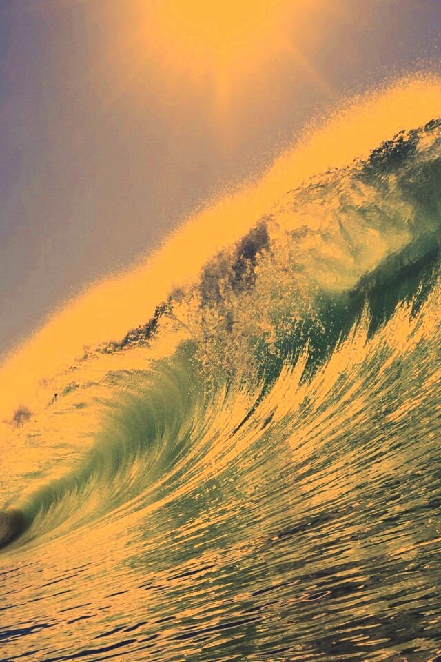 Волна — мечта серфера обои