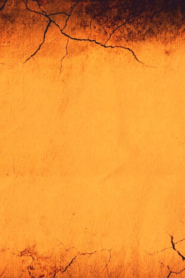 Обезвоживание обои