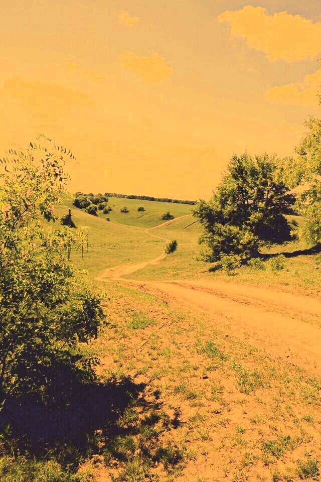 Просёлочная дорога обои