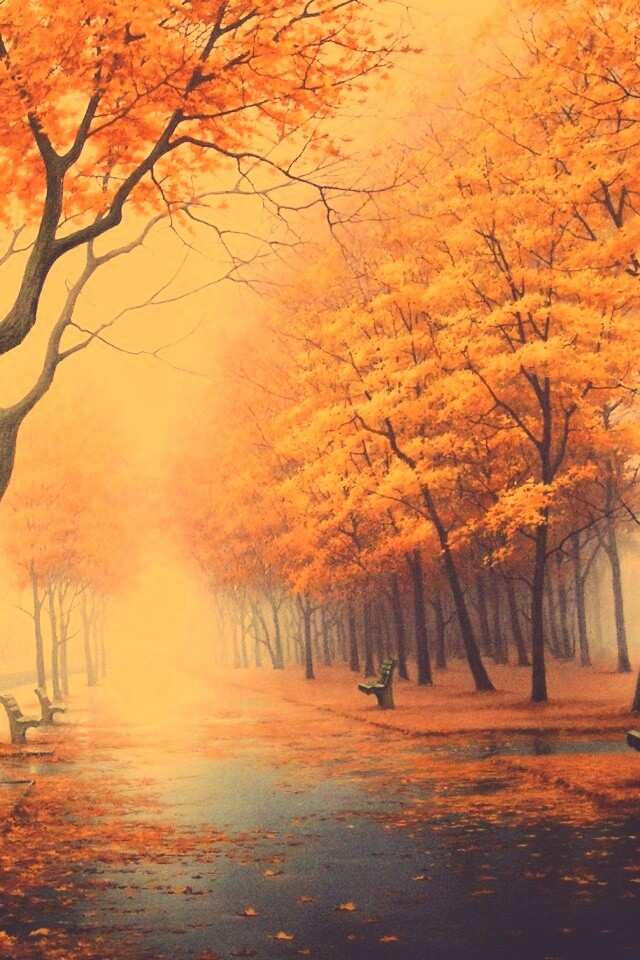 Дорога в осень обои