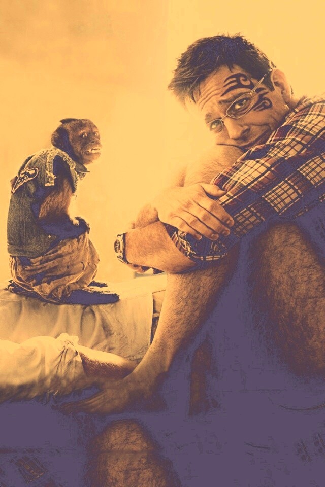 Мальчишник 2 из Вегаса в Банкок обои