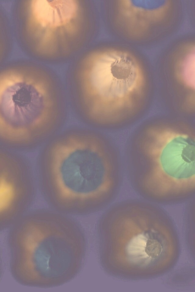 Карандаши обои