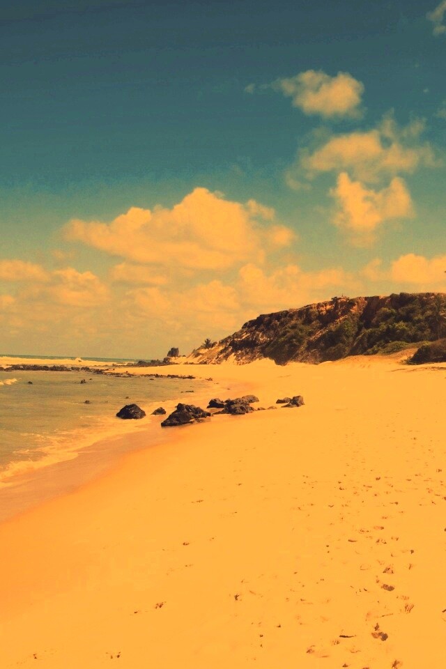 Туры в Бразилию в Лондрину обои