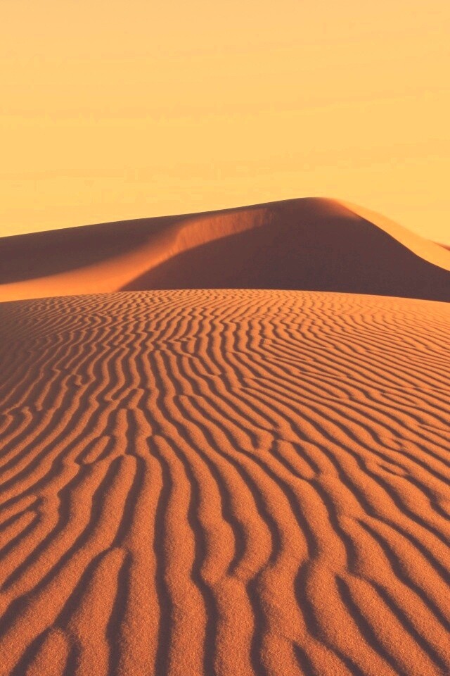 Красные барханы пустыни обои