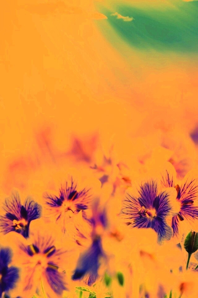 Цветочки обои