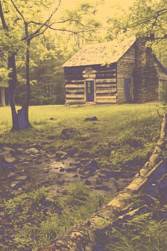 Домик в лесу обои