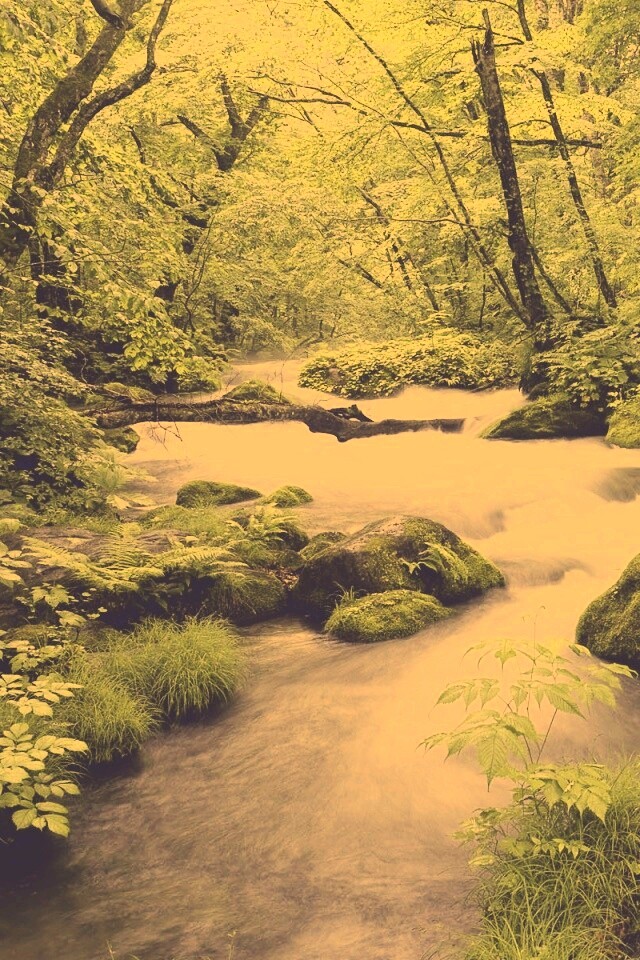 Лесная река обои