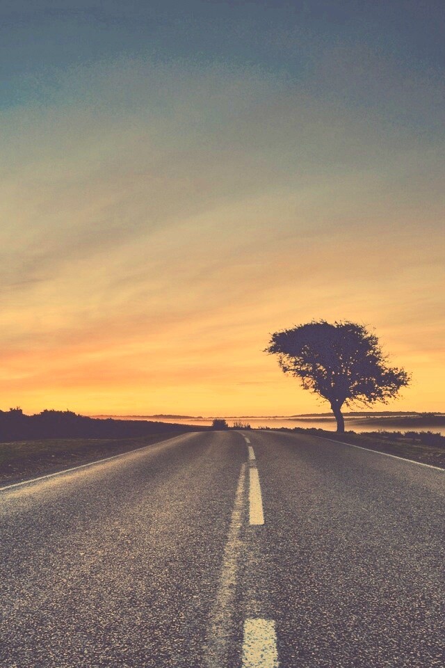 Дорога обои