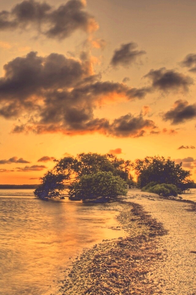 Побережье на закате обои