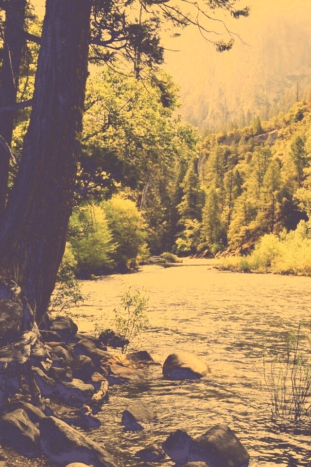 Национальный заповедник обои