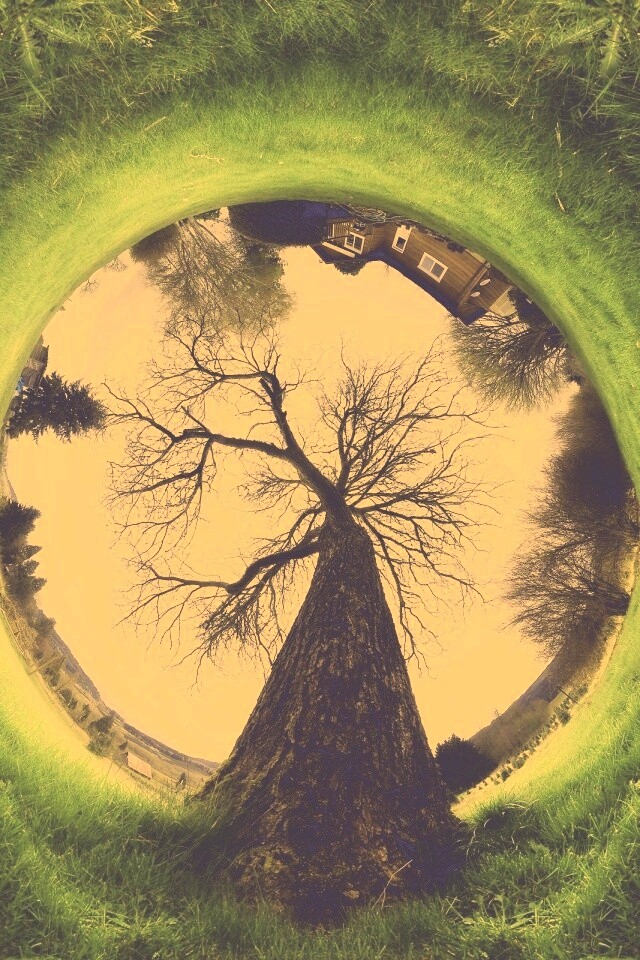 Другой взгляд на мир обои