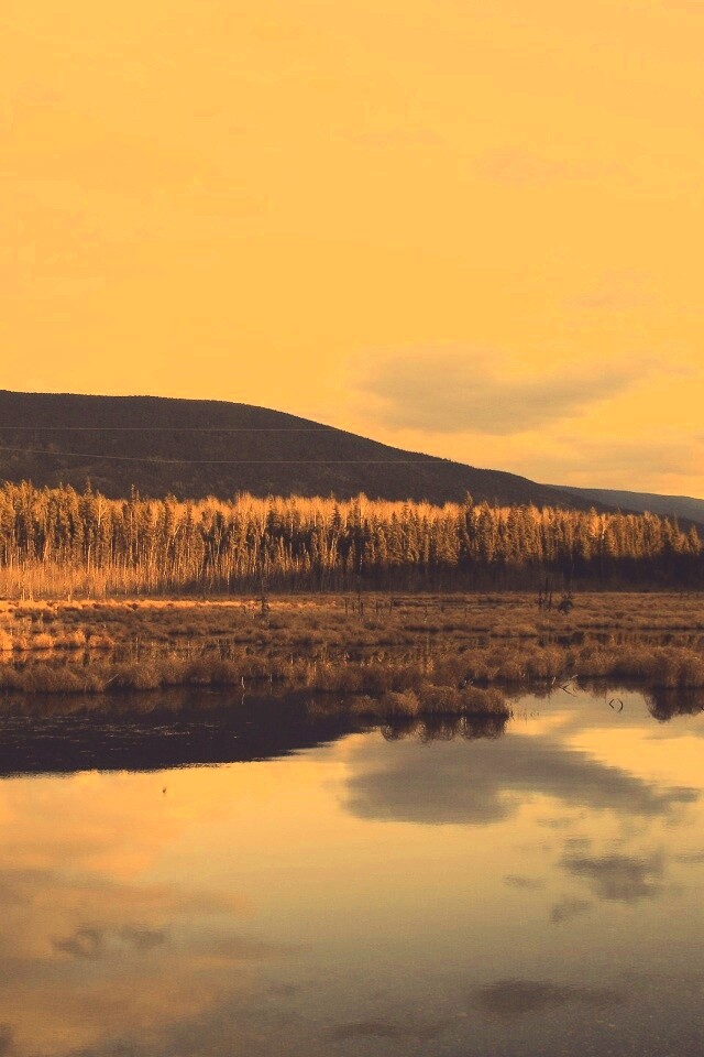 Осеннее озеро обои