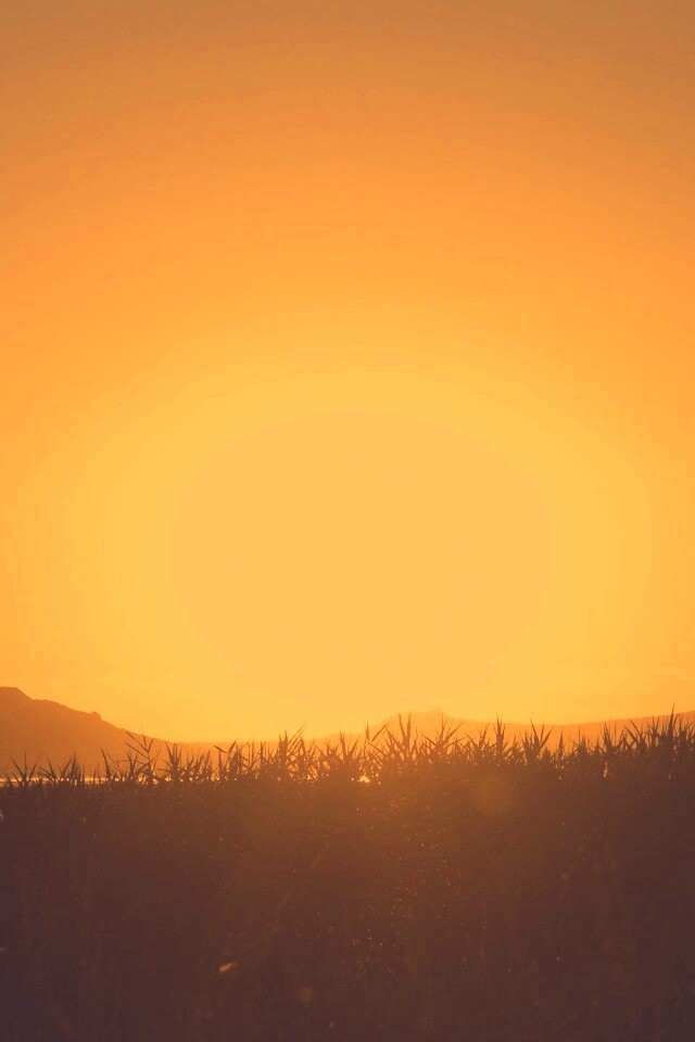 Сельский закат обои