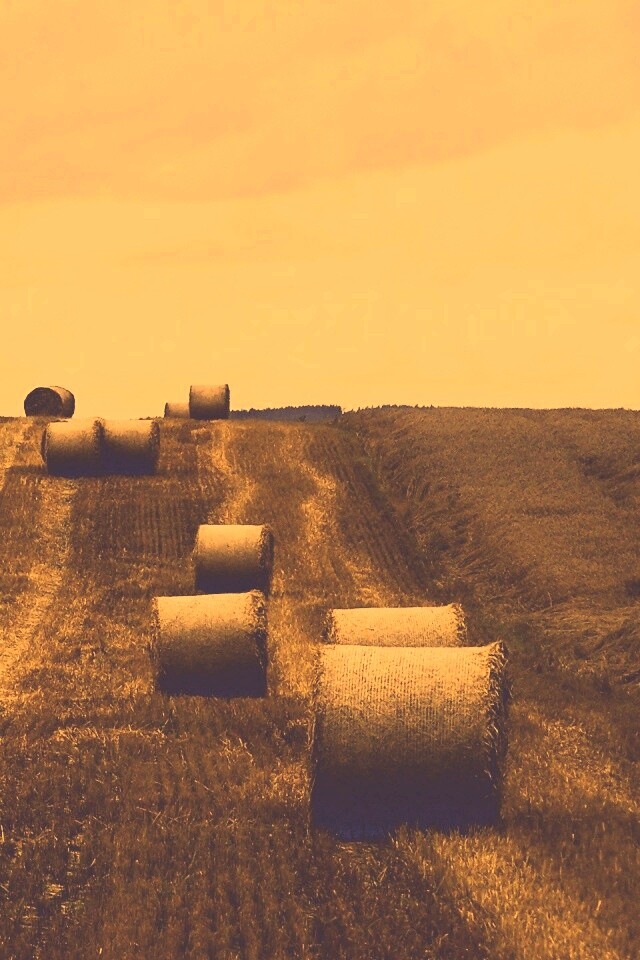 Уборка сена с поля обои