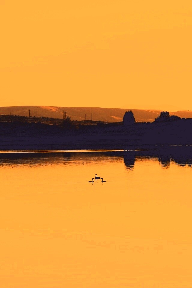 Утиное озеро обои