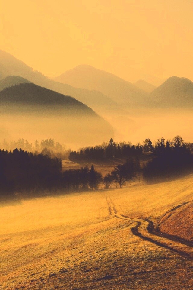 Дорога в туманную долину обои