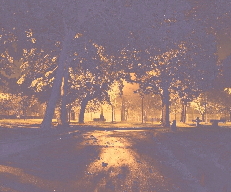 Ночной парк обои