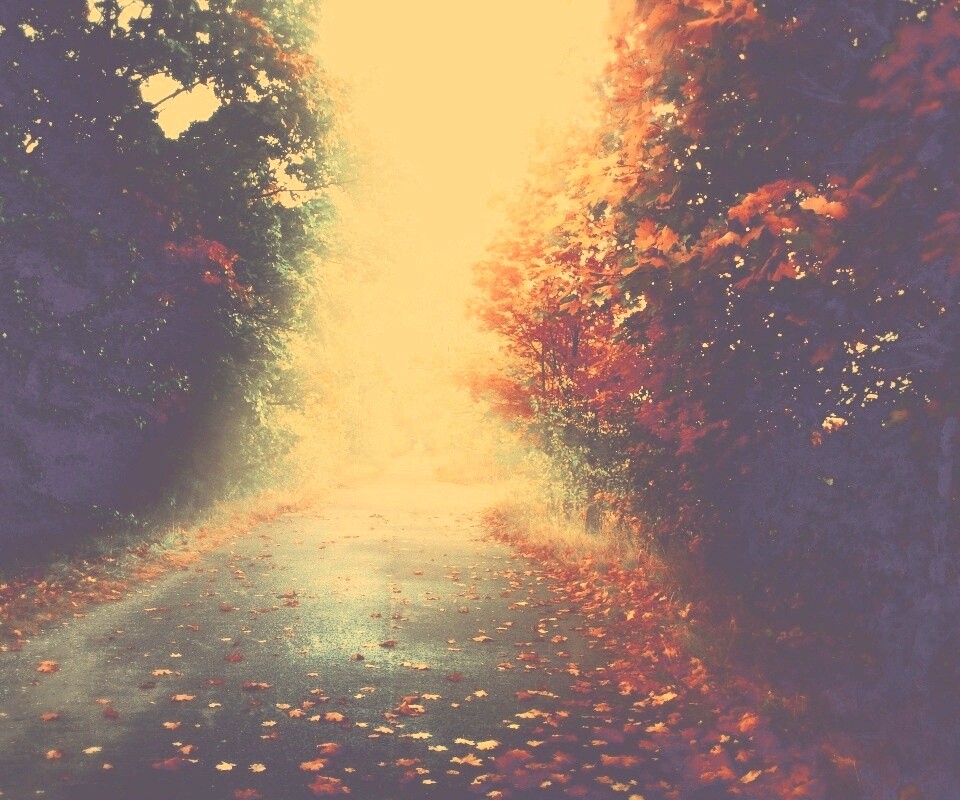 Желтая дорога обои