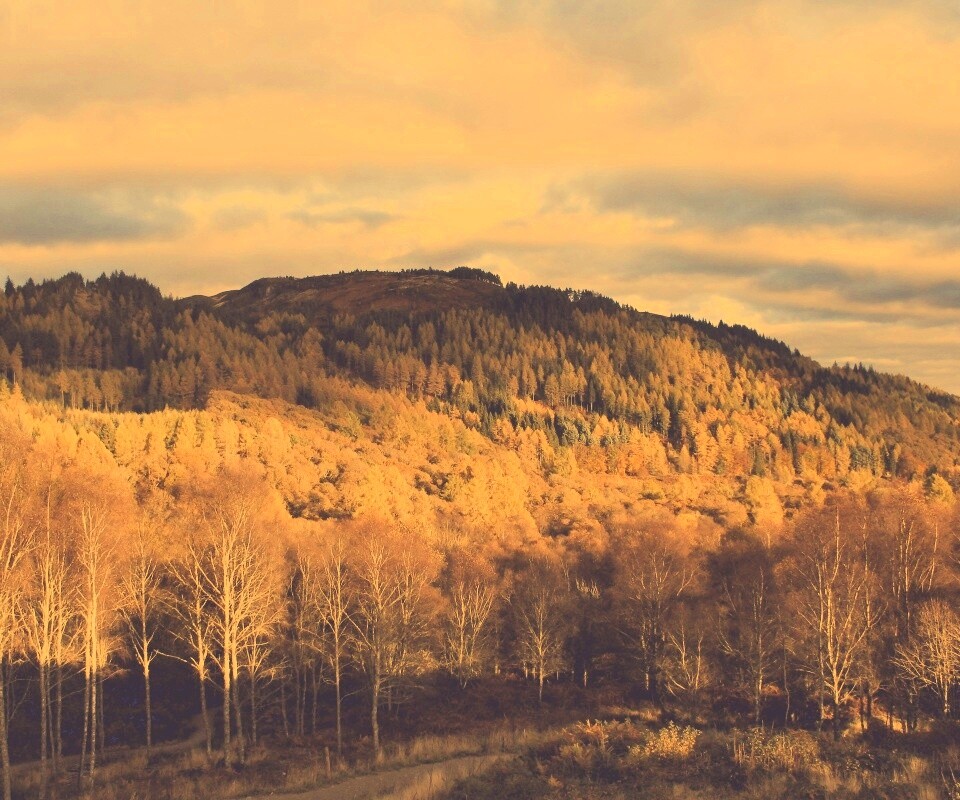 Золотая осень обои