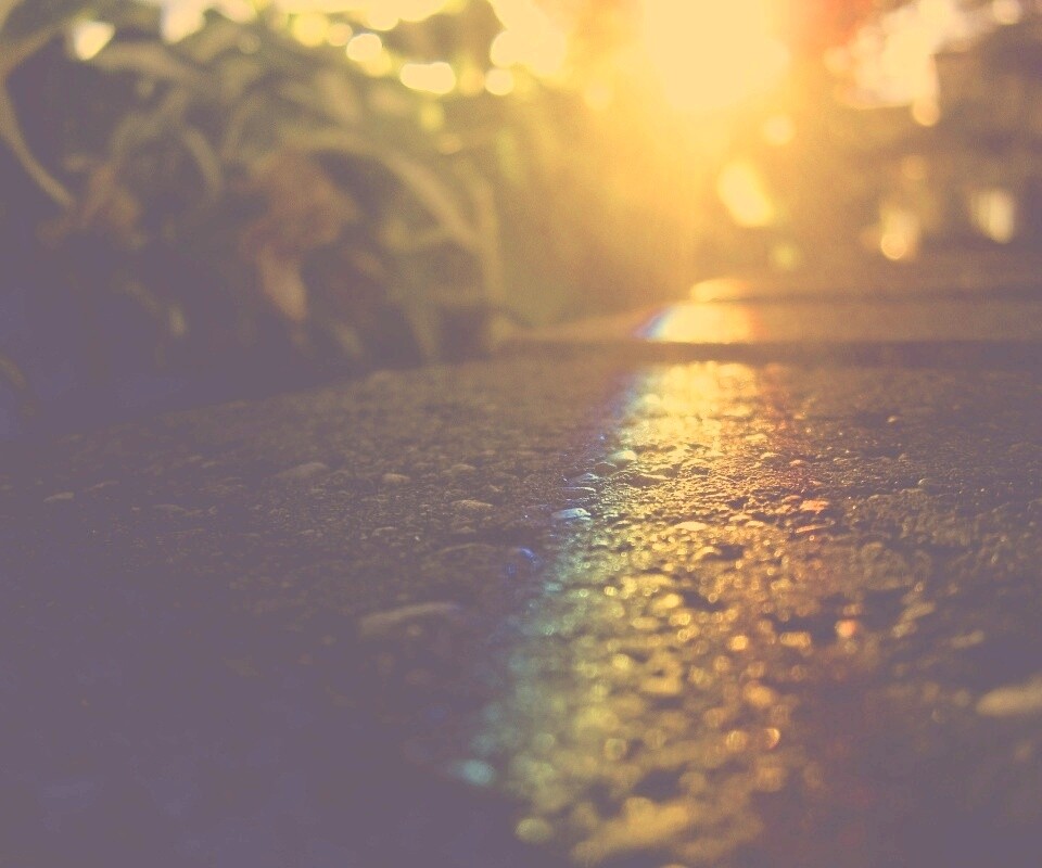 Макро радуга на камне обои