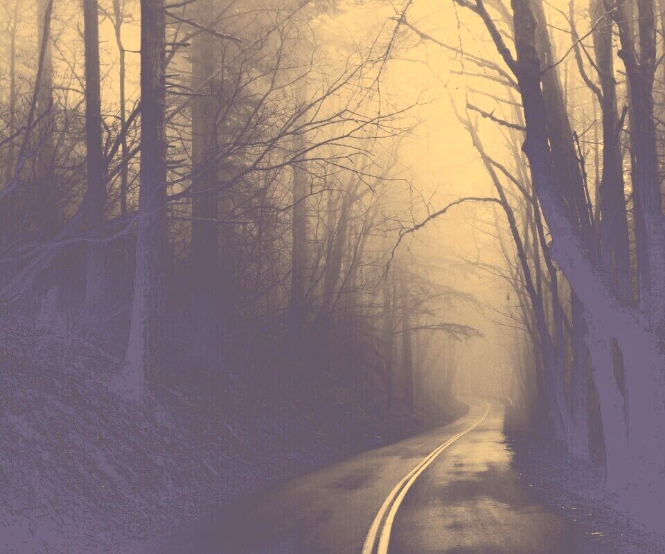 В туман обои