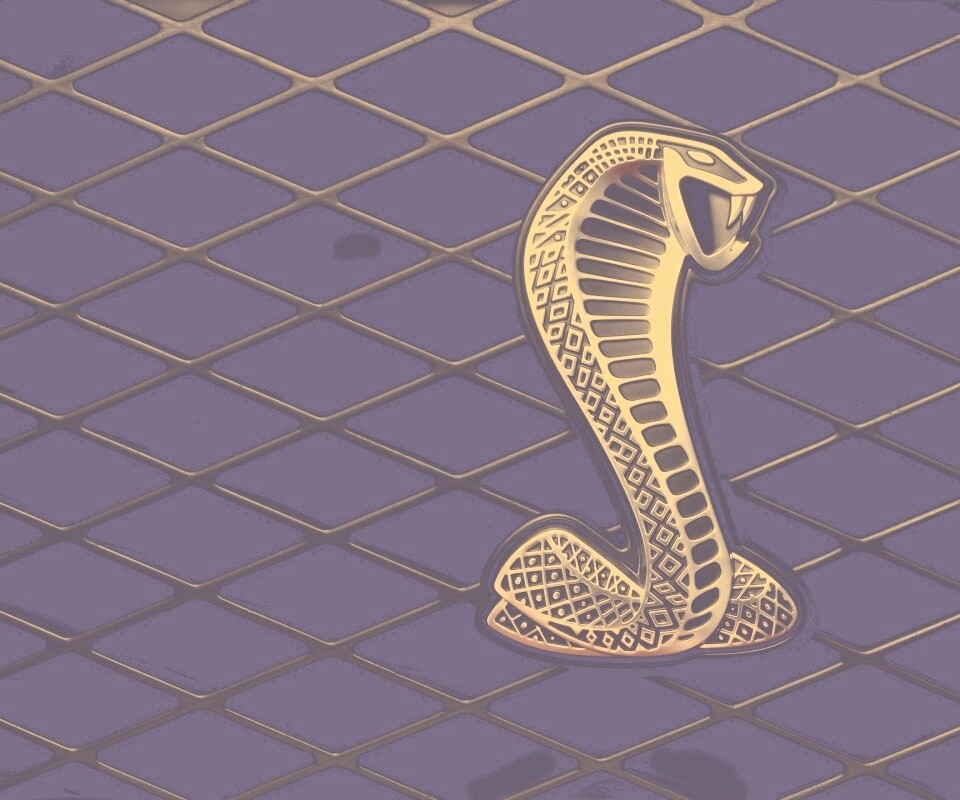 Логотипа Форда Шелби обои