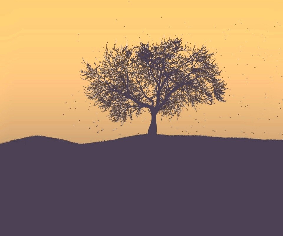 Черное дерево обои