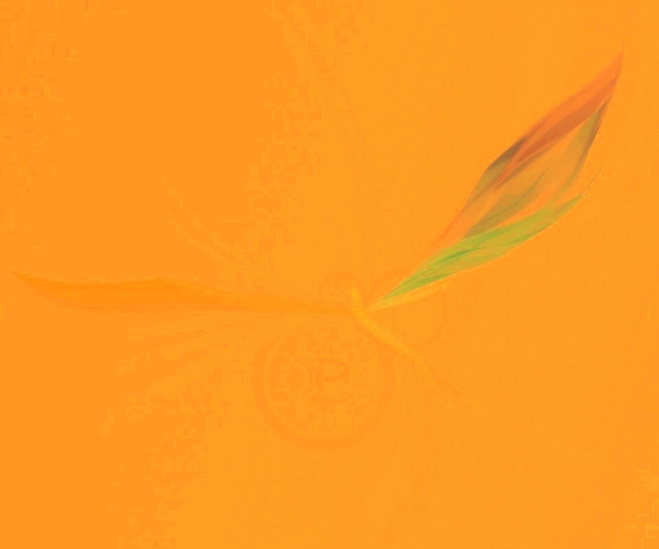 Силуэт птицы обои