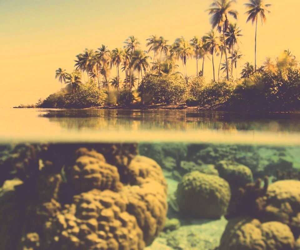 Из-под воды обои