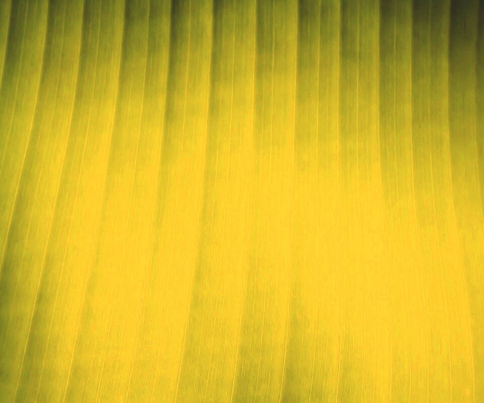 Травяные полосы обои