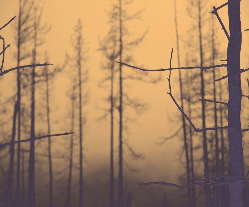 Безысходность обои