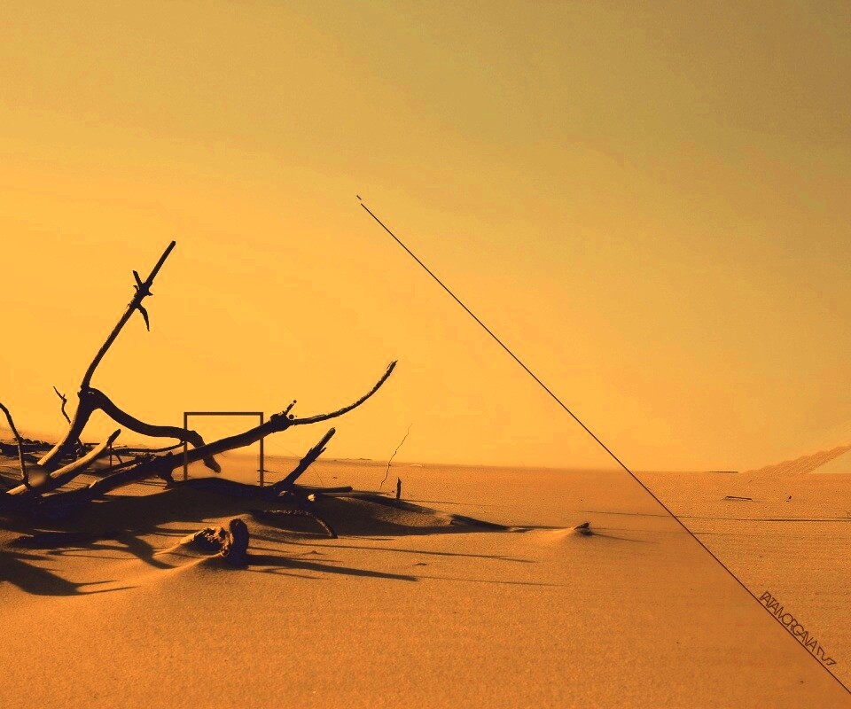 Сухостой в песках обои