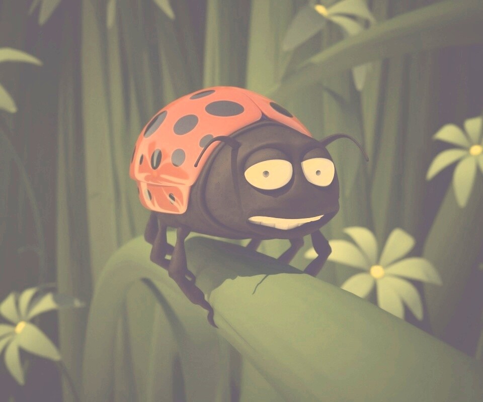 Глазастая божья коровка обои