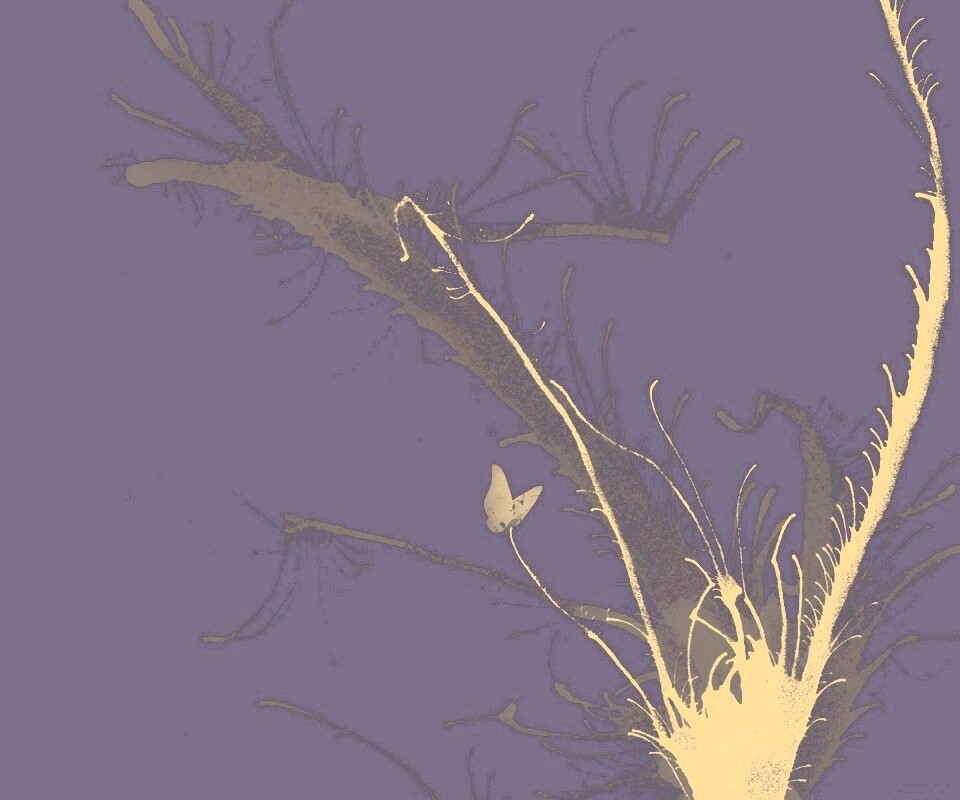 Абстракция из брызг обои