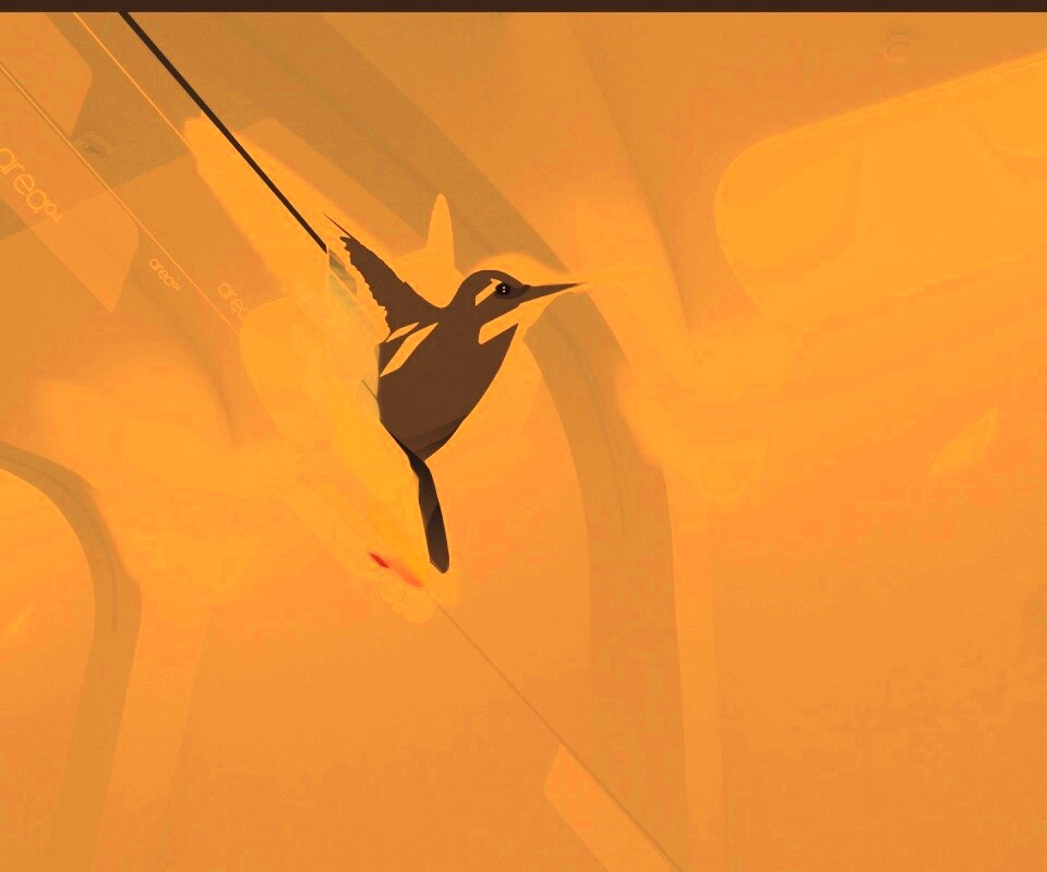 Логотип-колибри обои