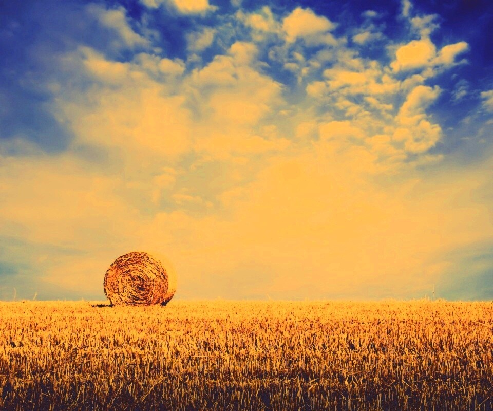 СОломеннынй рулон обои